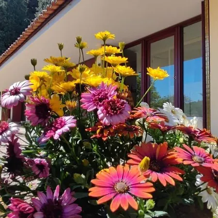 Сasa de vacaciones Casa De Levandeiras