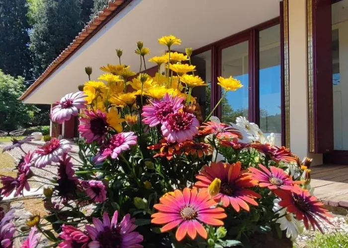 度假居 Casa De Levandeiras