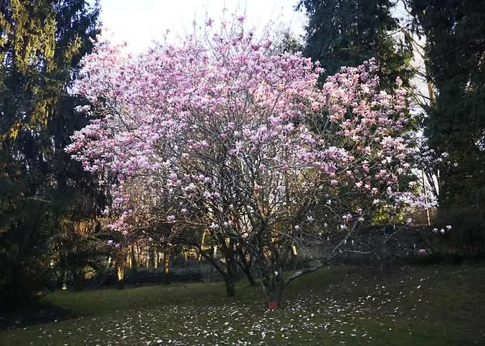 Casa De Levandeiras *